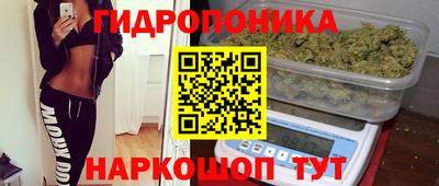 шишки Пугачёв
