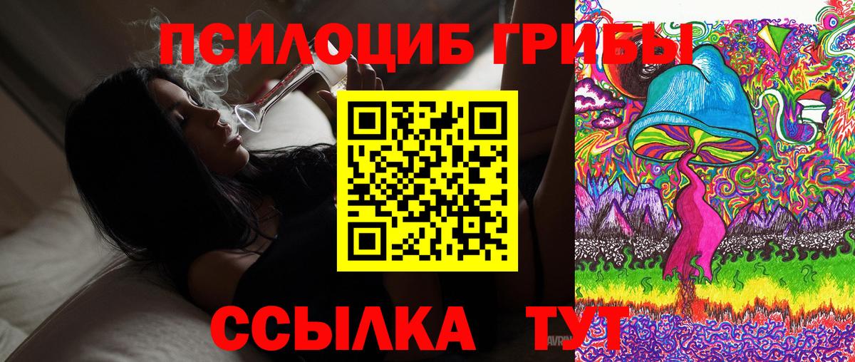 Псилоцибиновые грибы прущие грибы  Вход с VPN  Родники 