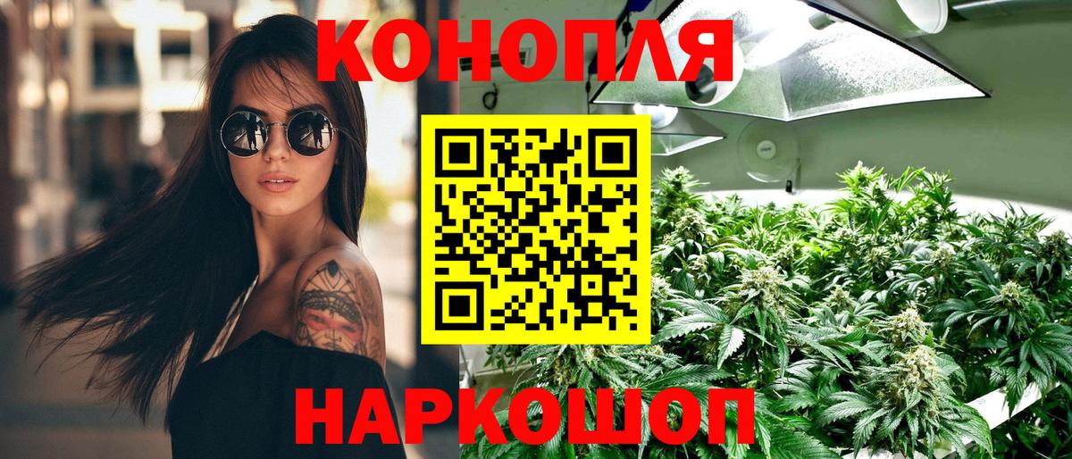 Конопля план Родники
